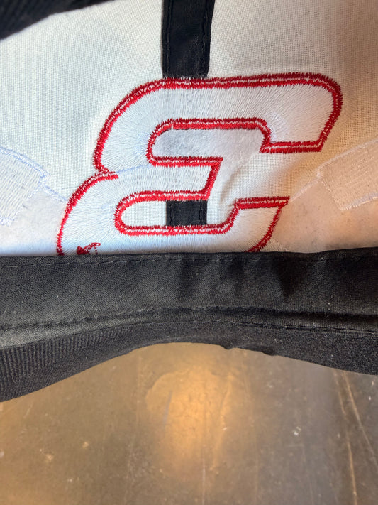 90s Dale Earnhardt Vintage Snapback